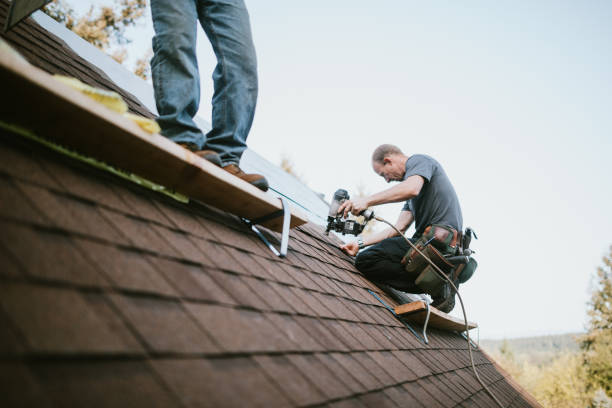 Best Metal Roofing Contractor  in Hamilton, MT